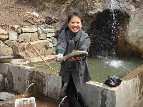 临江市人口_临江镇的人口民族(2)